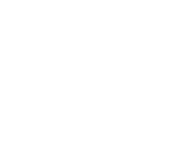 PwC_Outline_Logo_White